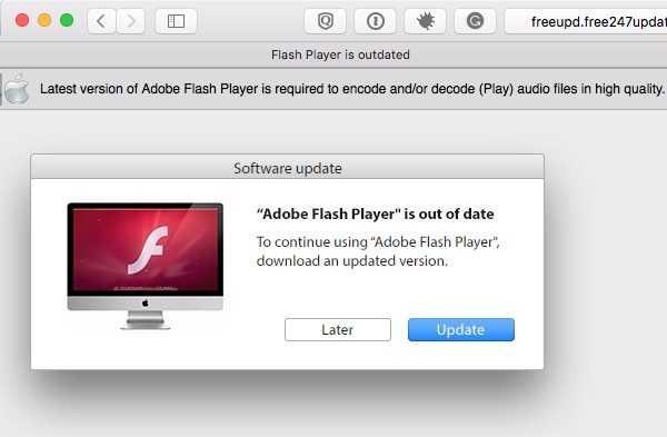 Adobe flash player browser download